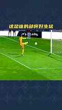 洛阳市万达篮球赛事